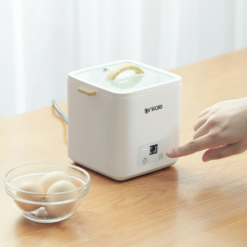 4 البيض المرجل باخرة متعددة ال - مراجعة Egg Cooker Rapid وسعره